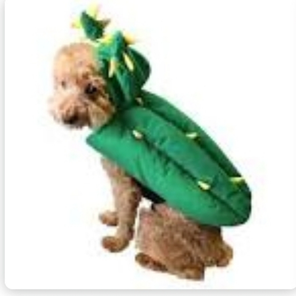 Cactus Pet Costume - Picture 2 of 6